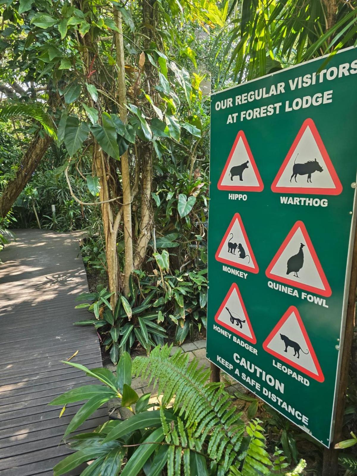 Forest Villa'S Saint Lucia Estuary Exteriör bild